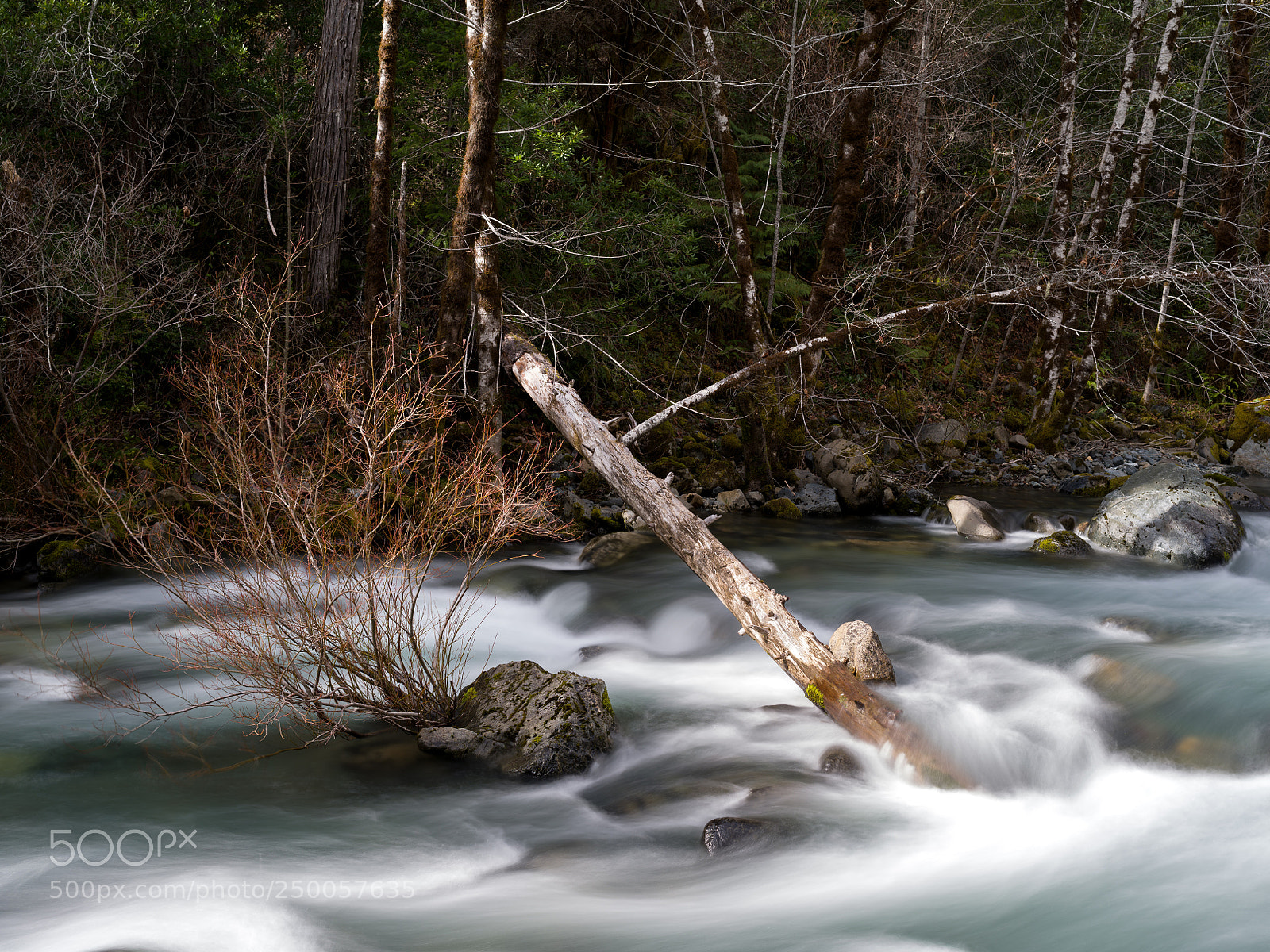 Pentax 645Z sample photo. Patrick creek photography