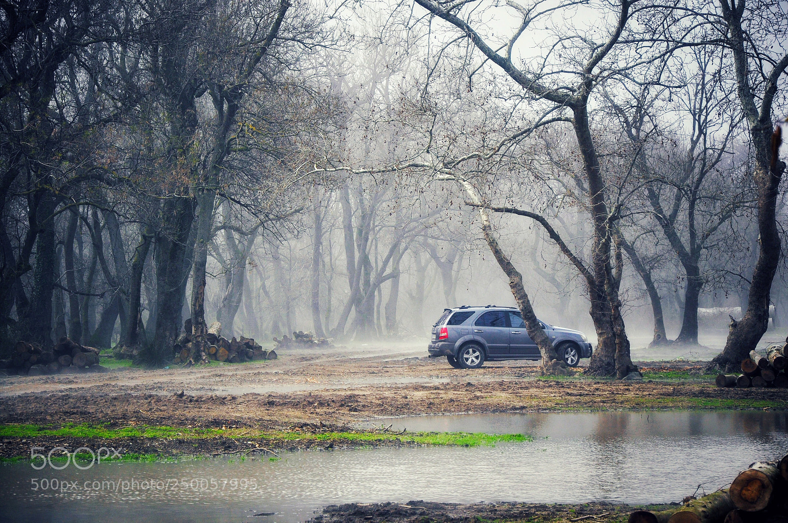 Nikon D90 sample photo. Untitled photography
