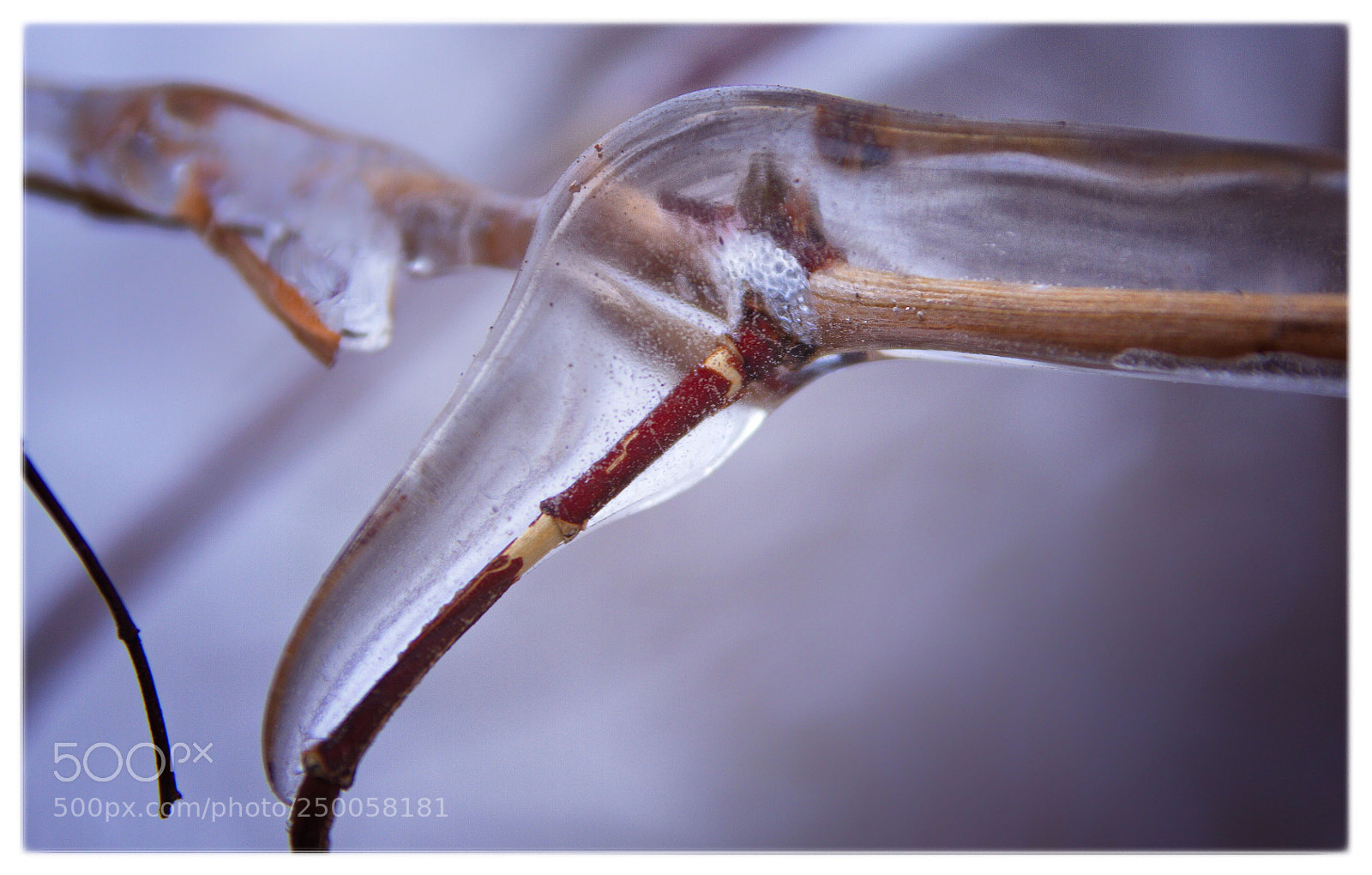Canon EOS 7D sample photo. прозрачность photography