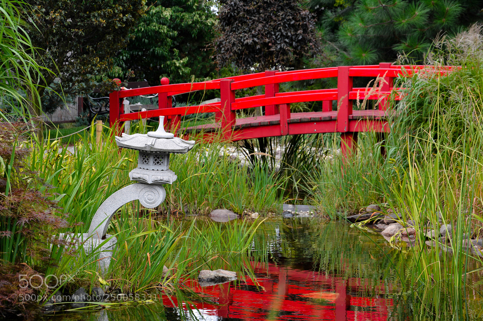 Nikon D7100 sample photo. Puente rojo photography