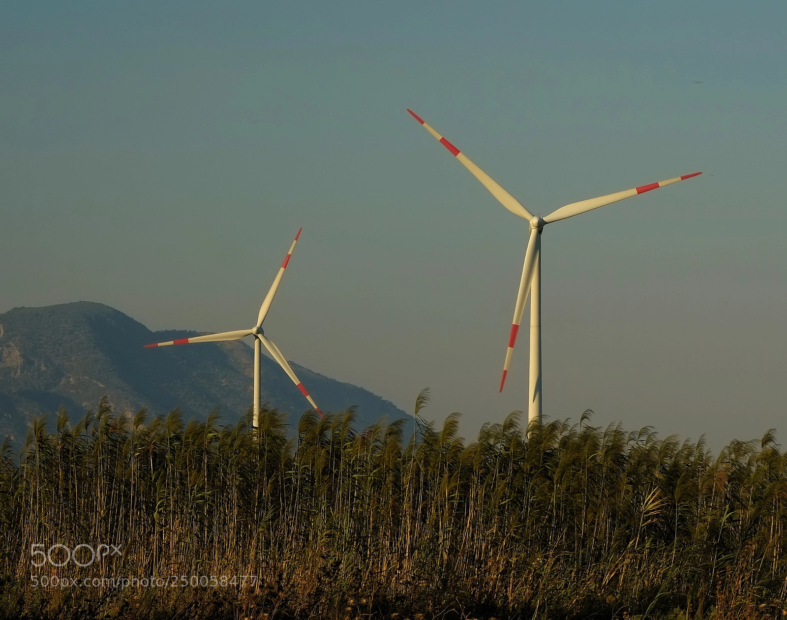 Fujifilm X-Pro1 sample photo. Wind turbine photography
