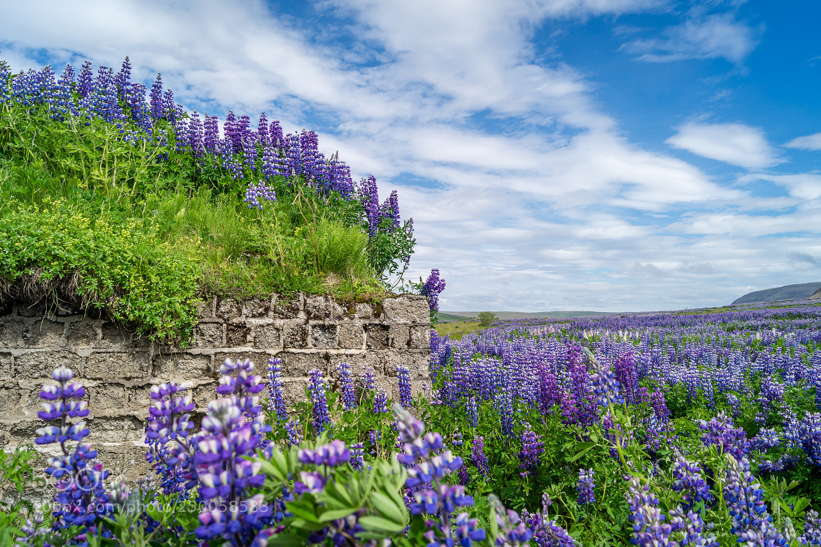 Sony SLT-A58 sample photo. Visit to iceland photography