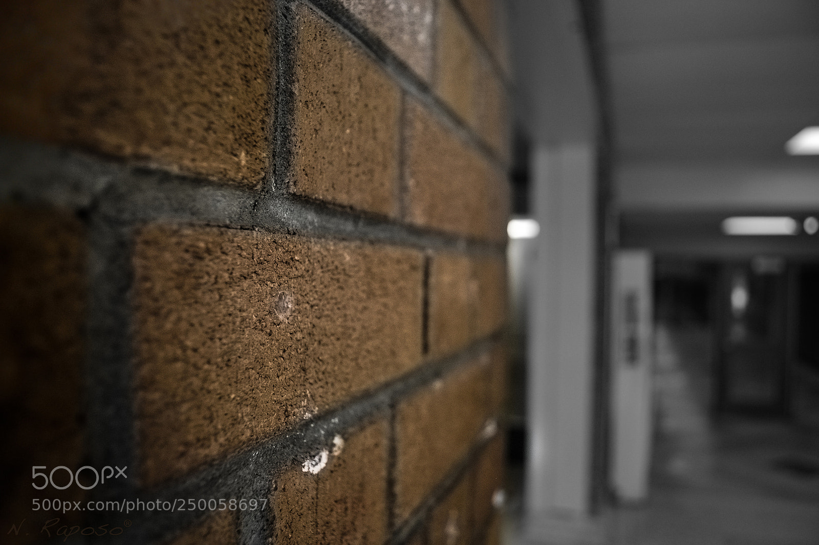 Nikon D3100 sample photo. Shallow depth of field photography
