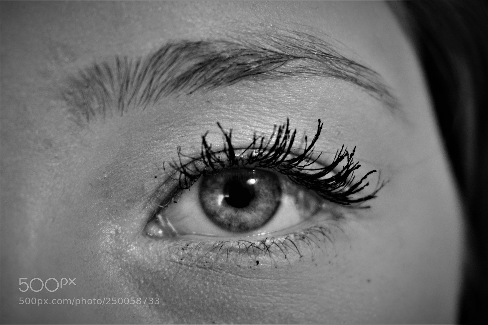 Nikon D3400 sample photo. Black and white detail photography
