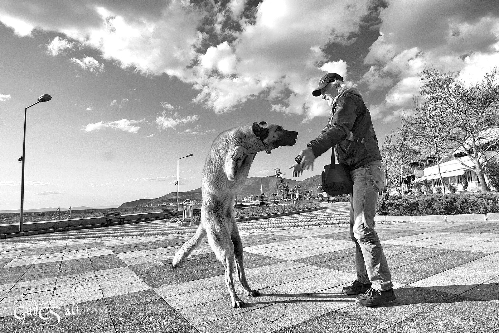 Nikon D7100 sample photo. Kavuşma anı. photography