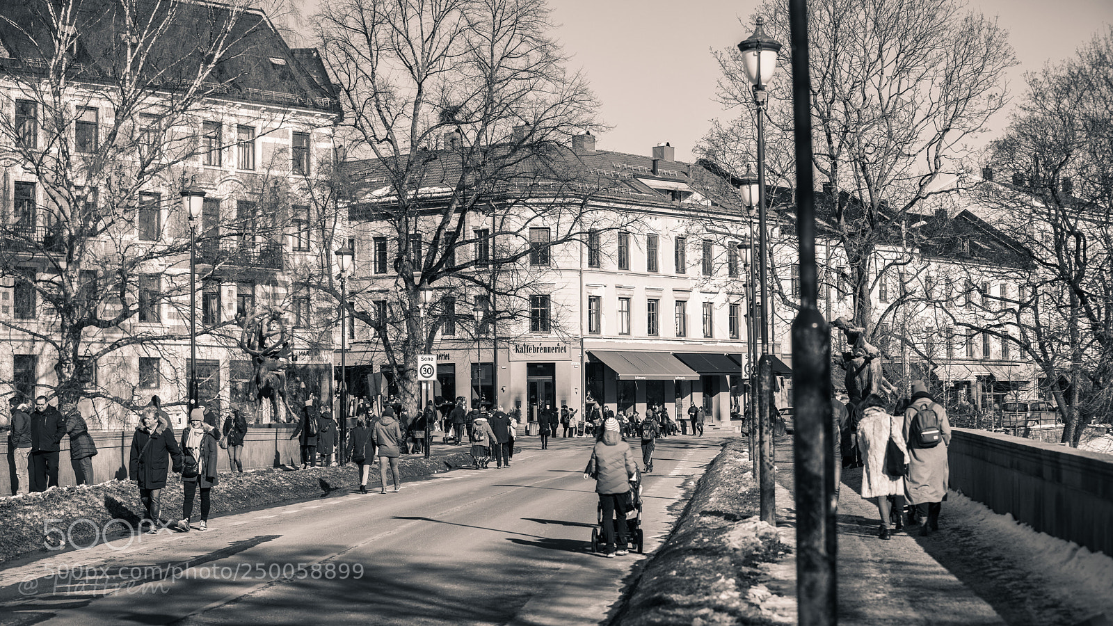 Canon EOS 5D Mark IV sample photo. Crossing over photography