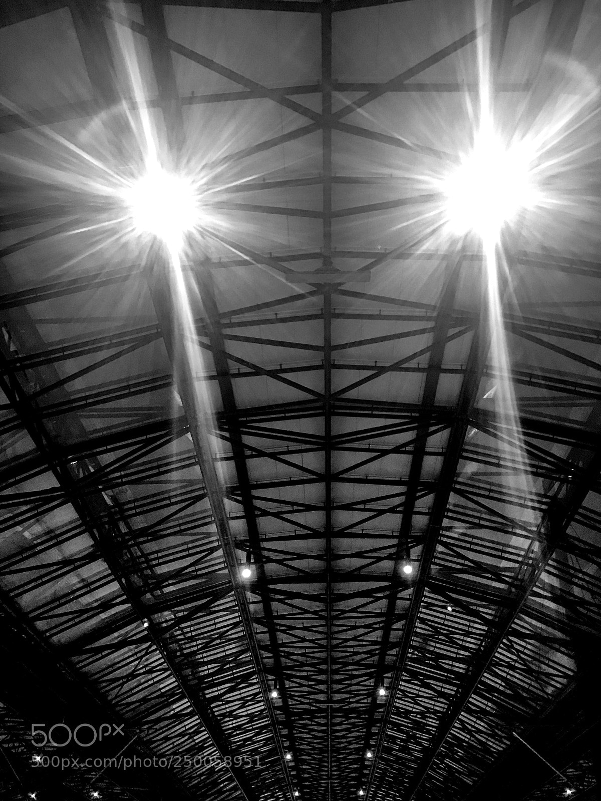 Apple iPhone 7 sample photo. 073/365: railway station ceiling photography