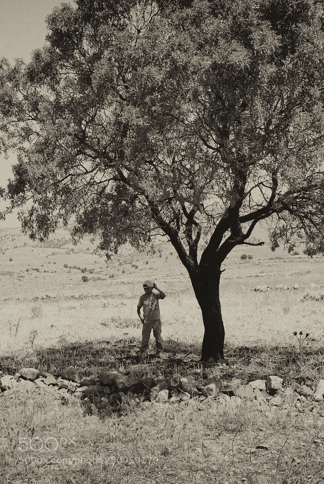 Nikon D3000 sample photo. Under the tree photography