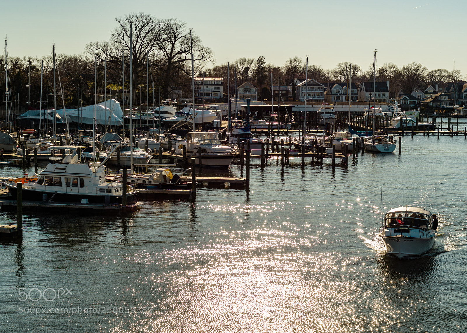 Pentax KP sample photo. Annapolis winter photography