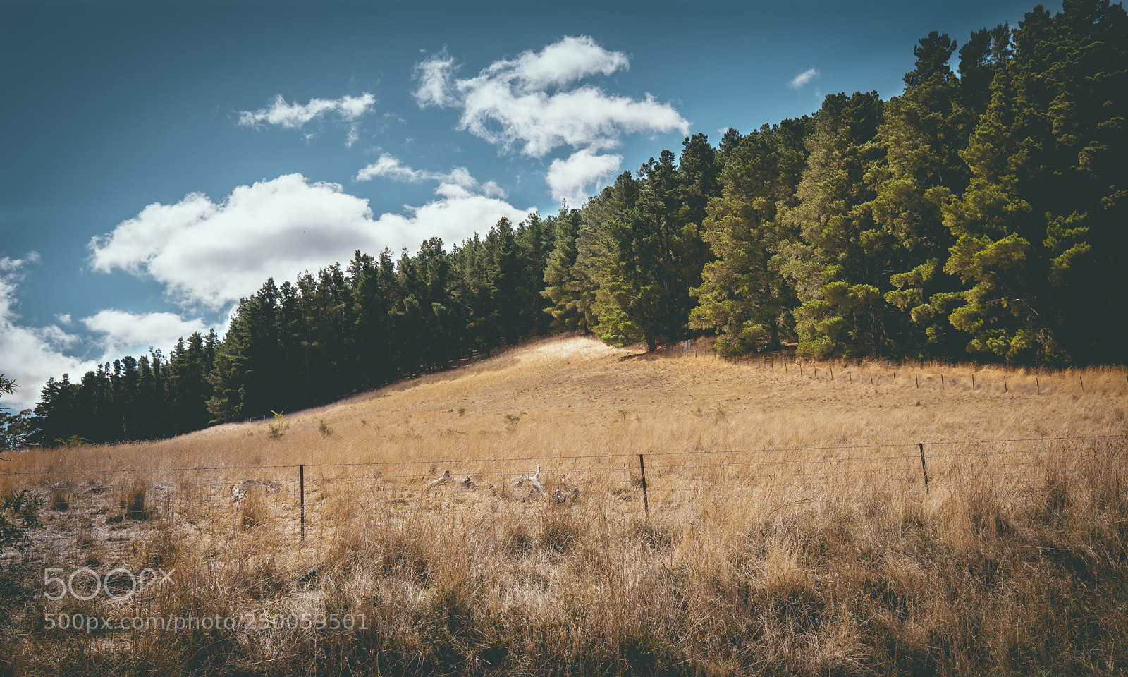 Sony a7R sample photo. Vista photography