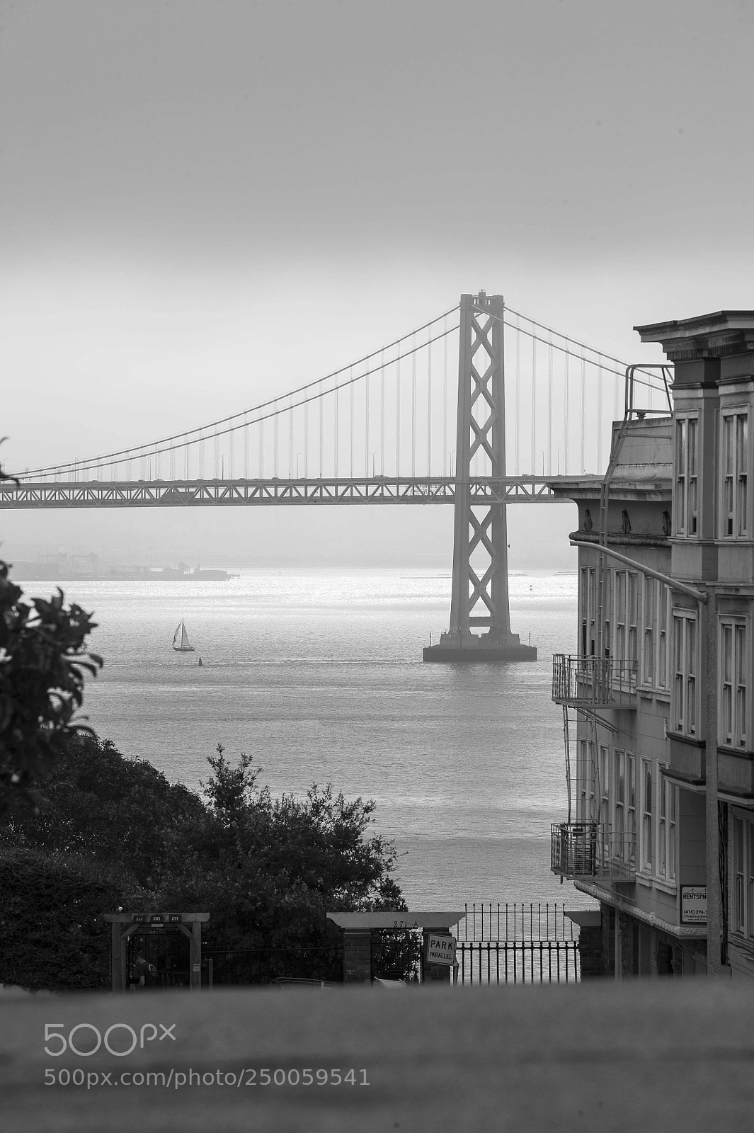 Nikon D3 sample photo. The bridge photography