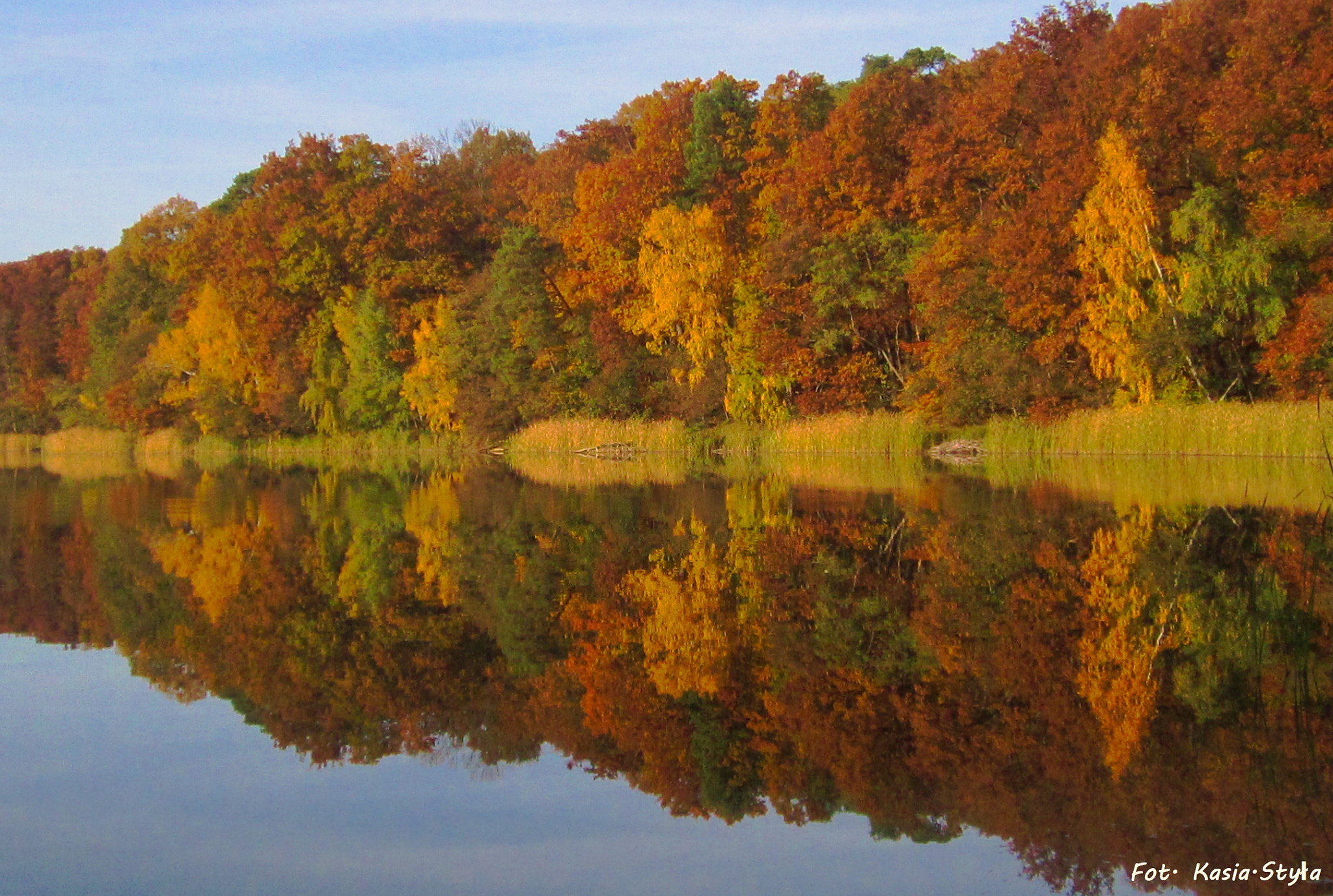 Canon PowerShot A2200 sample photo. Autumn in wielkopolski national park photography