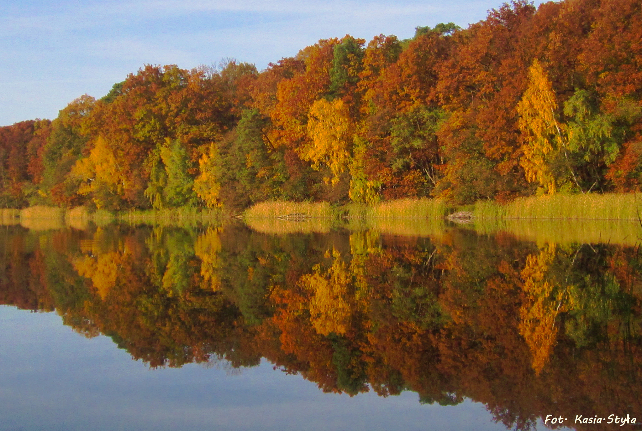 Canon PowerShot A2200 sample photo. Autumn in wielkopolski national park photography