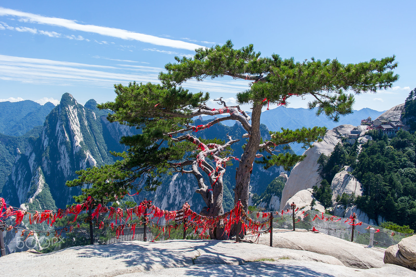 Samsung NX300 sample photo. The huashan pine photography