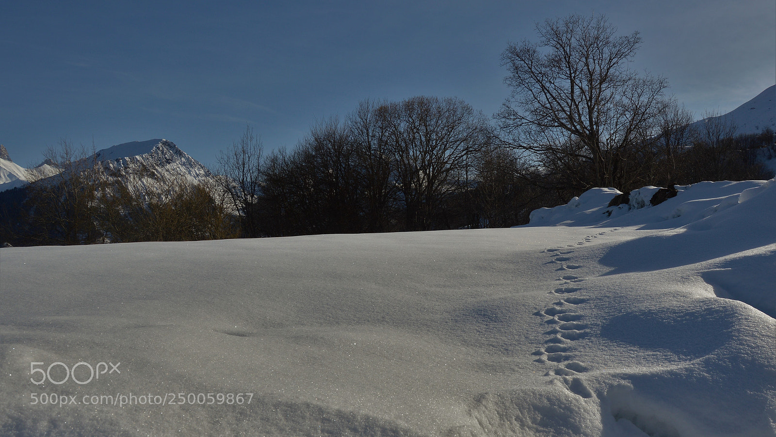 Nikon D3200 sample photo. Untitled photography