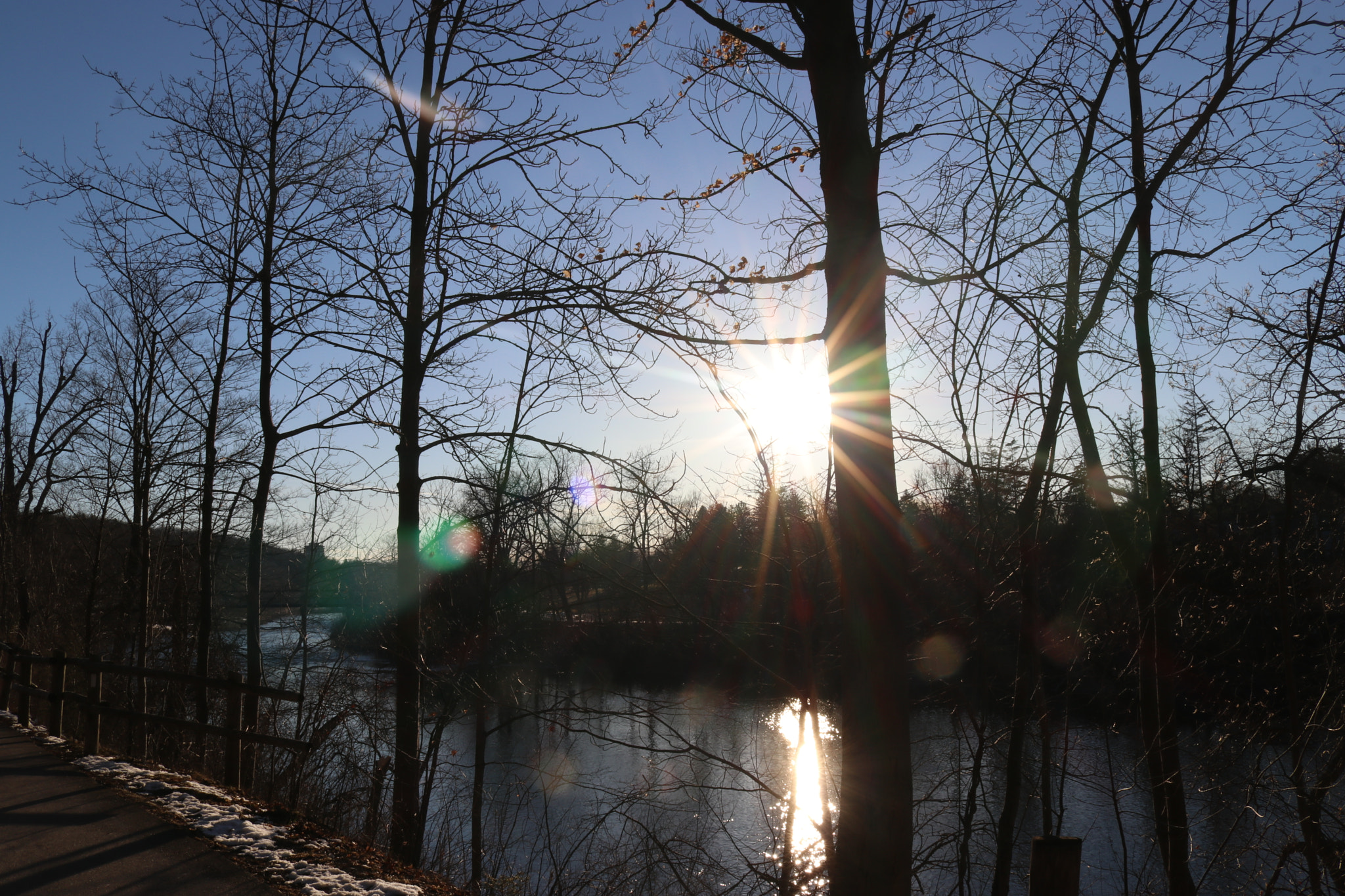Canon EOS 80D sample photo. Sun in the park in winter photography