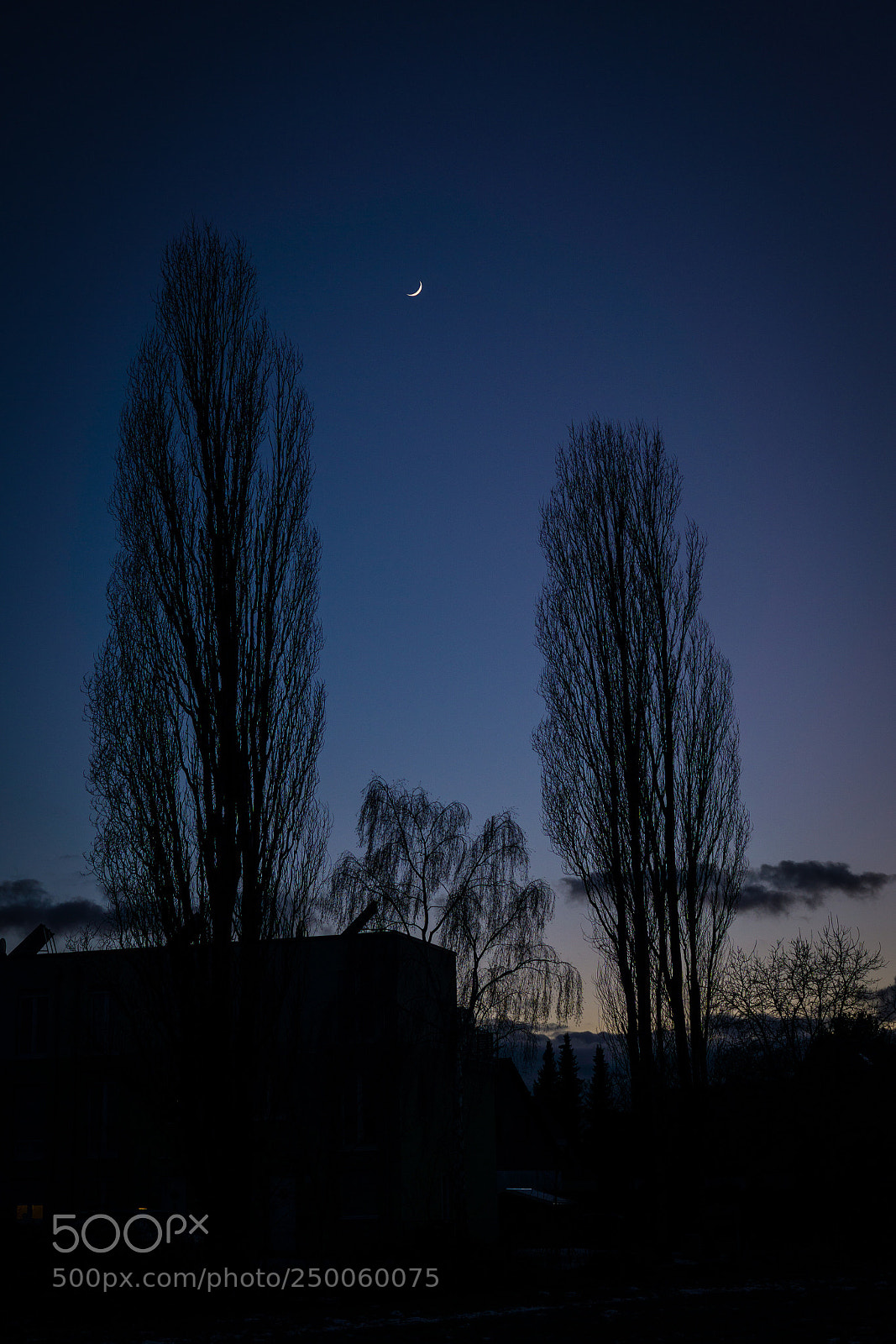 Sony a6000 sample photo. Evening photography