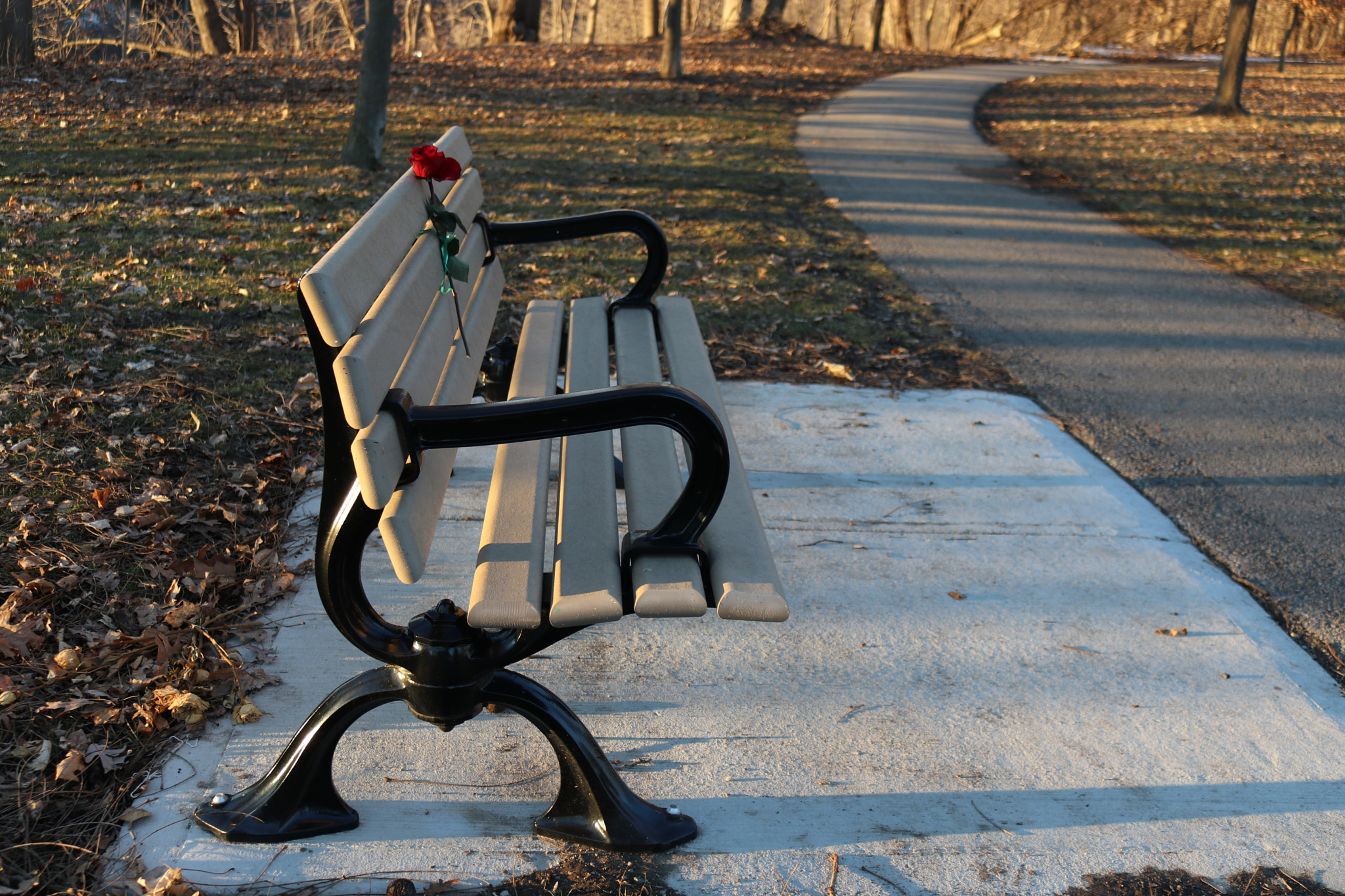 Canon EOS 80D sample photo. Love in park photography