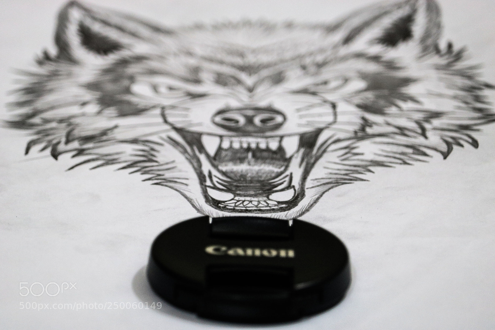 Canon EOS 750D (EOS Rebel T6i / EOS Kiss X8i) sample photo. Photographers rarely fear anything photography
