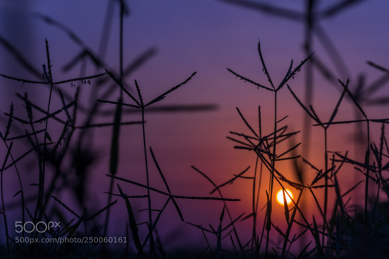 Canon EOS 77D (EOS 9000D / EOS 770D) sample photo. Untitled photography
