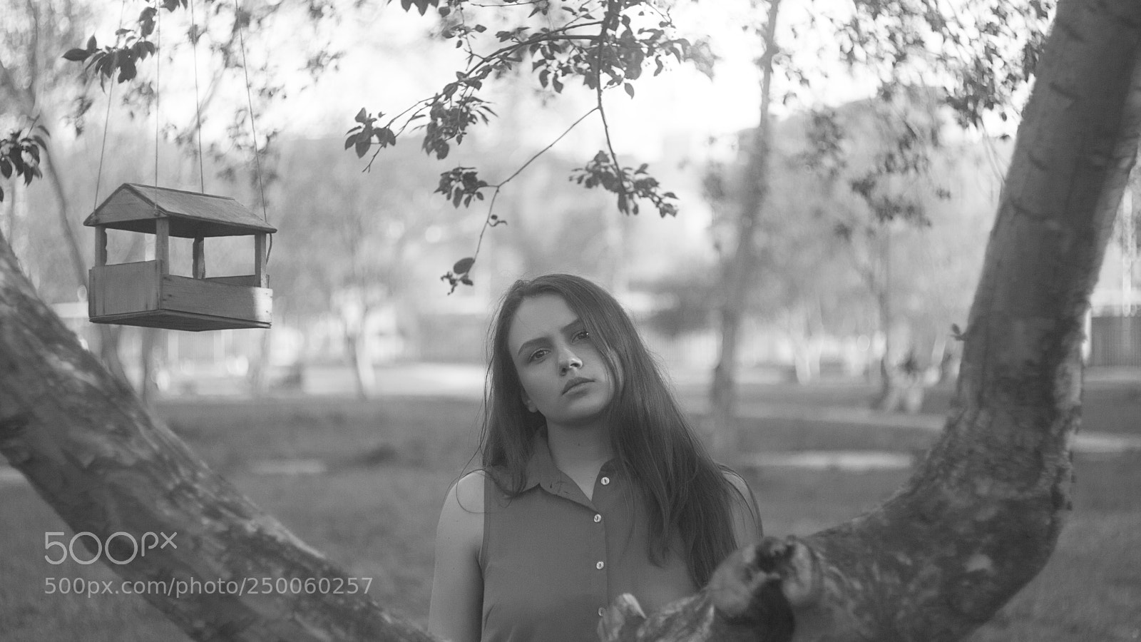 Canon EOS 50D sample photo. G photography
