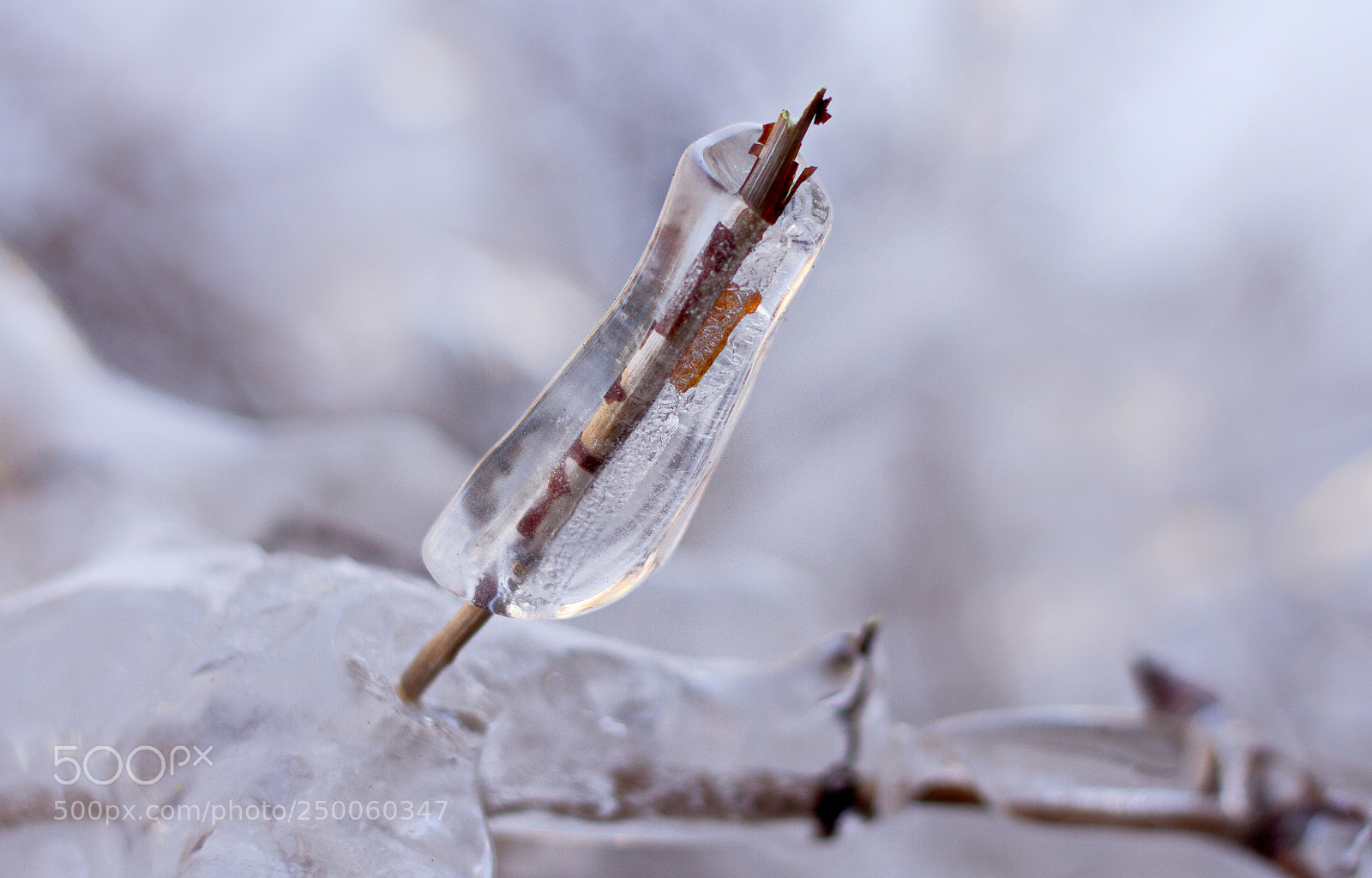 Canon EOS 7D sample photo. Ледяной чехол photography