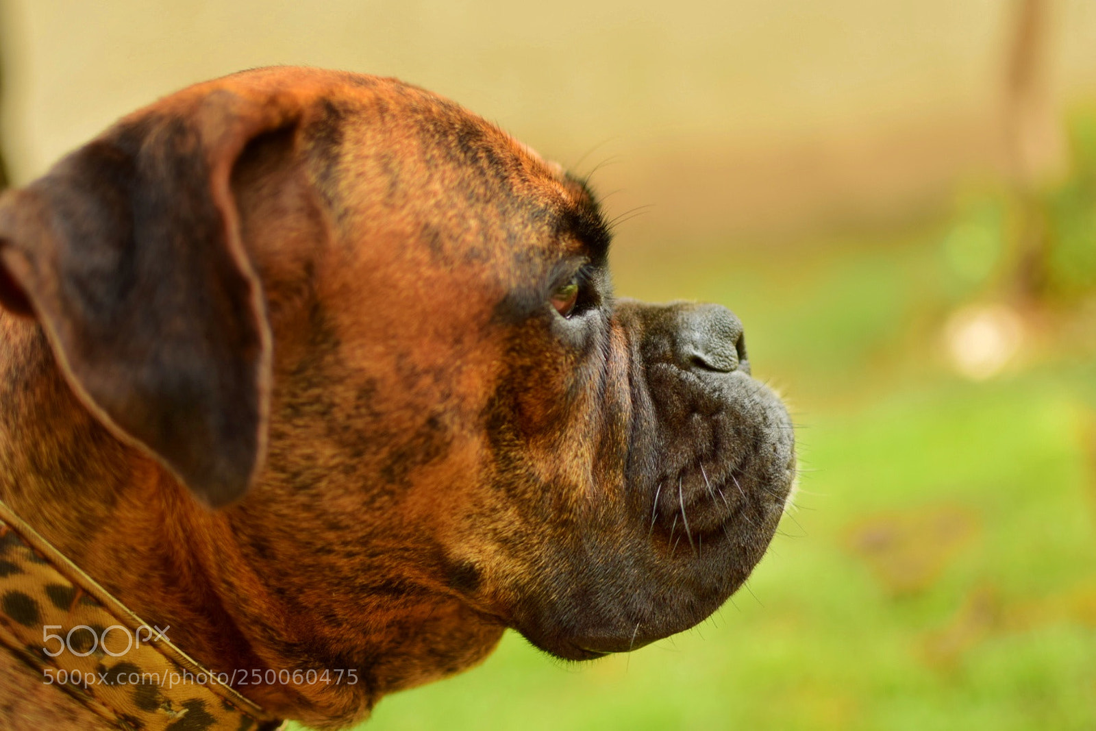 Nikon D5300 sample photo. Untitled photography