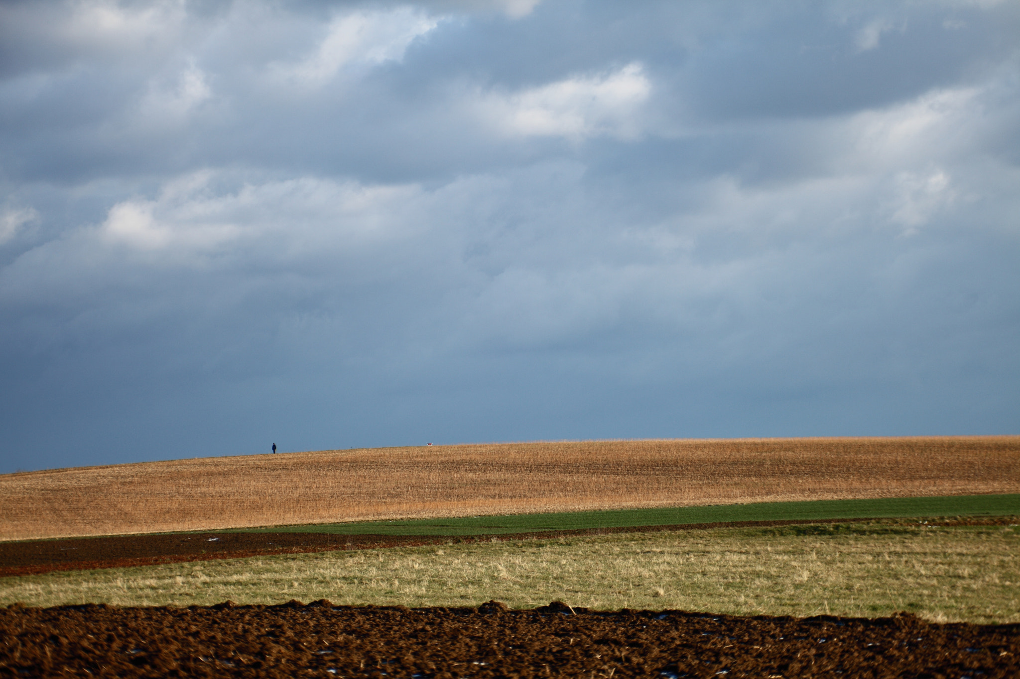 Canon EF 70-200mm F4L USM sample photo. Farmland photography