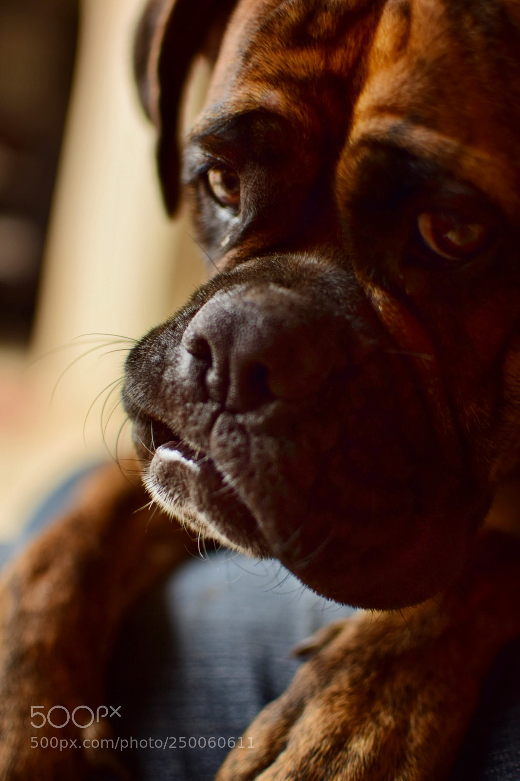 Nikon D5300 sample photo. Untitled photography