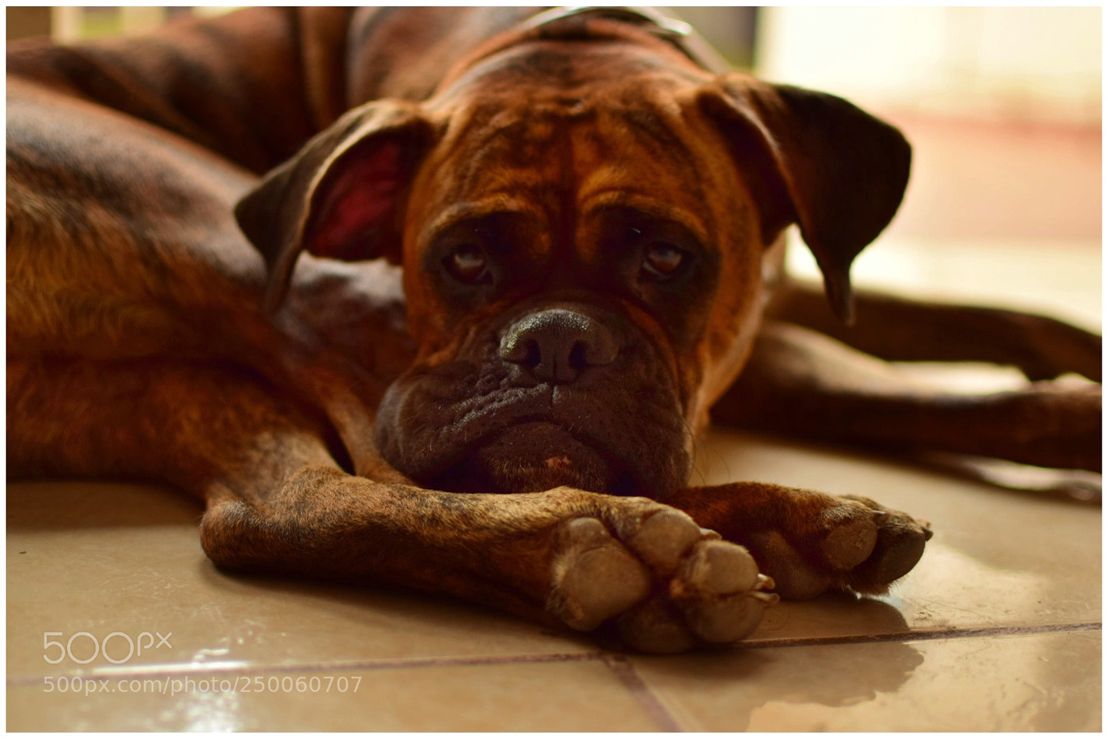 Nikon D5300 sample photo. Untitled photography
