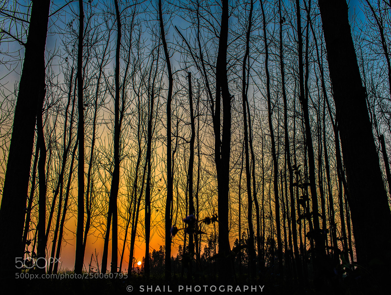 Canon EOS 750D (EOS Rebel T6i / EOS Kiss X8i) sample photo. Sunset & good vibes! photography