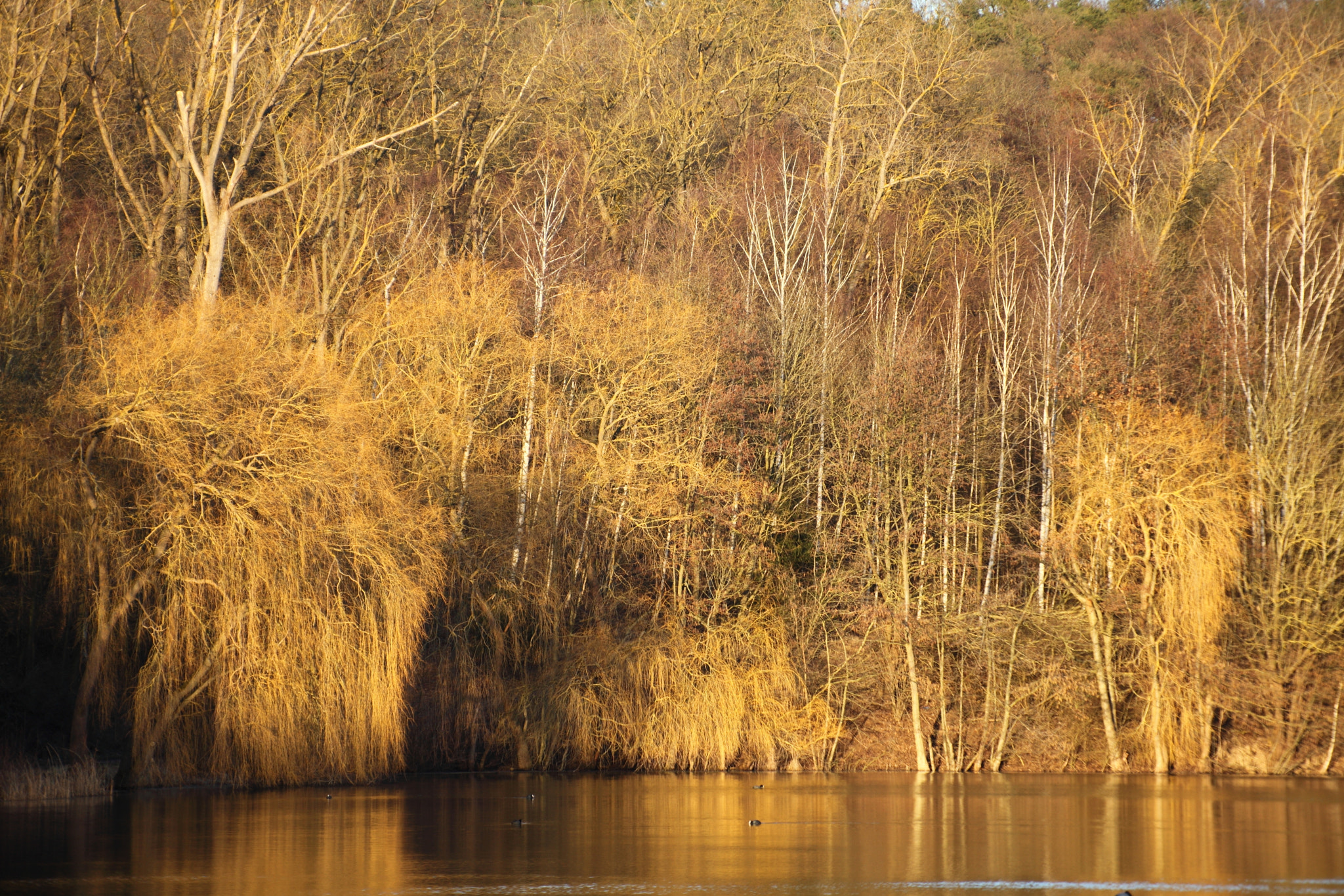 Canon EF 70-200mm F4L USM sample photo. Sunset light photography