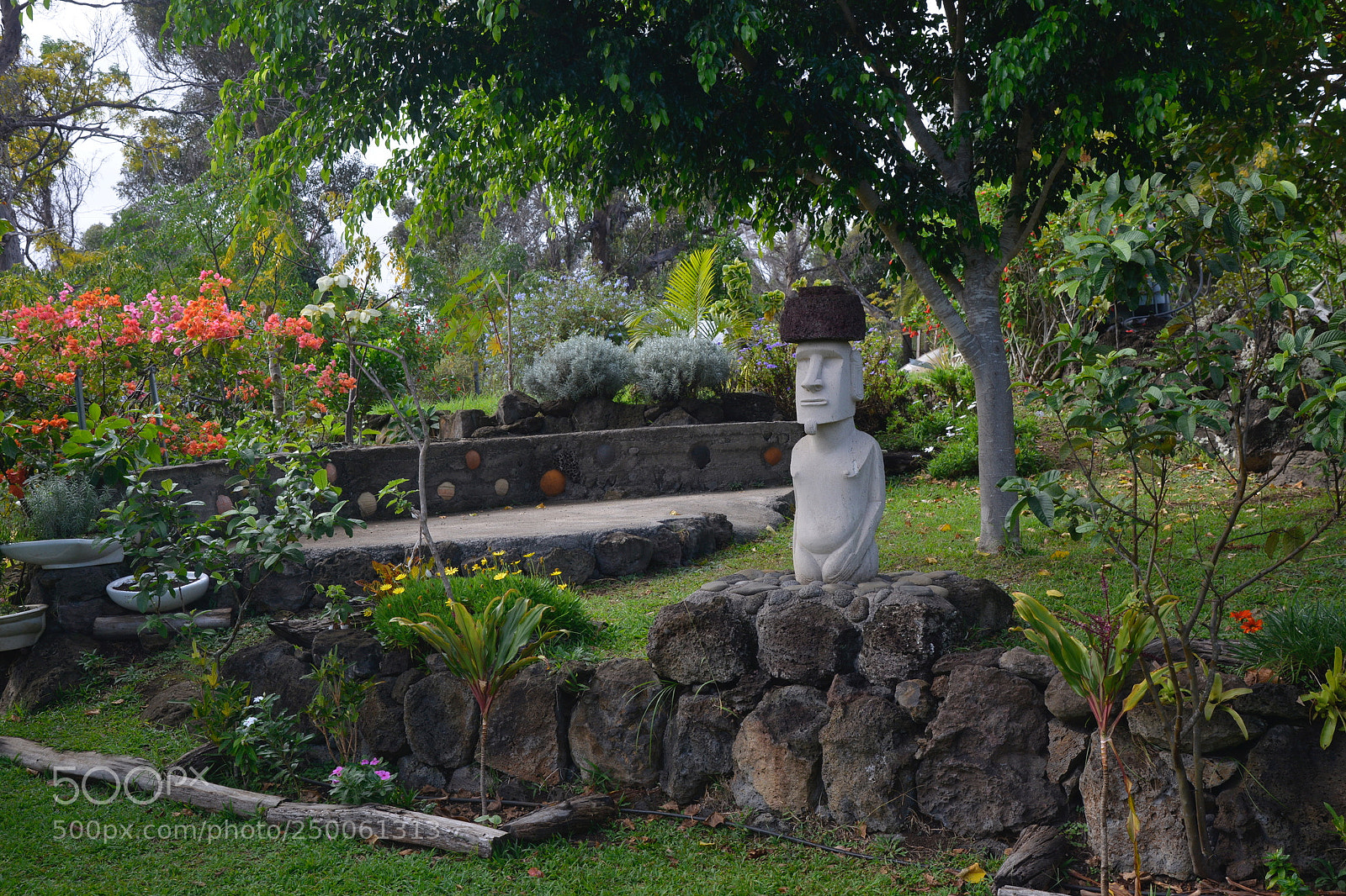Nikon D800 sample photo. Jardin botanico photography