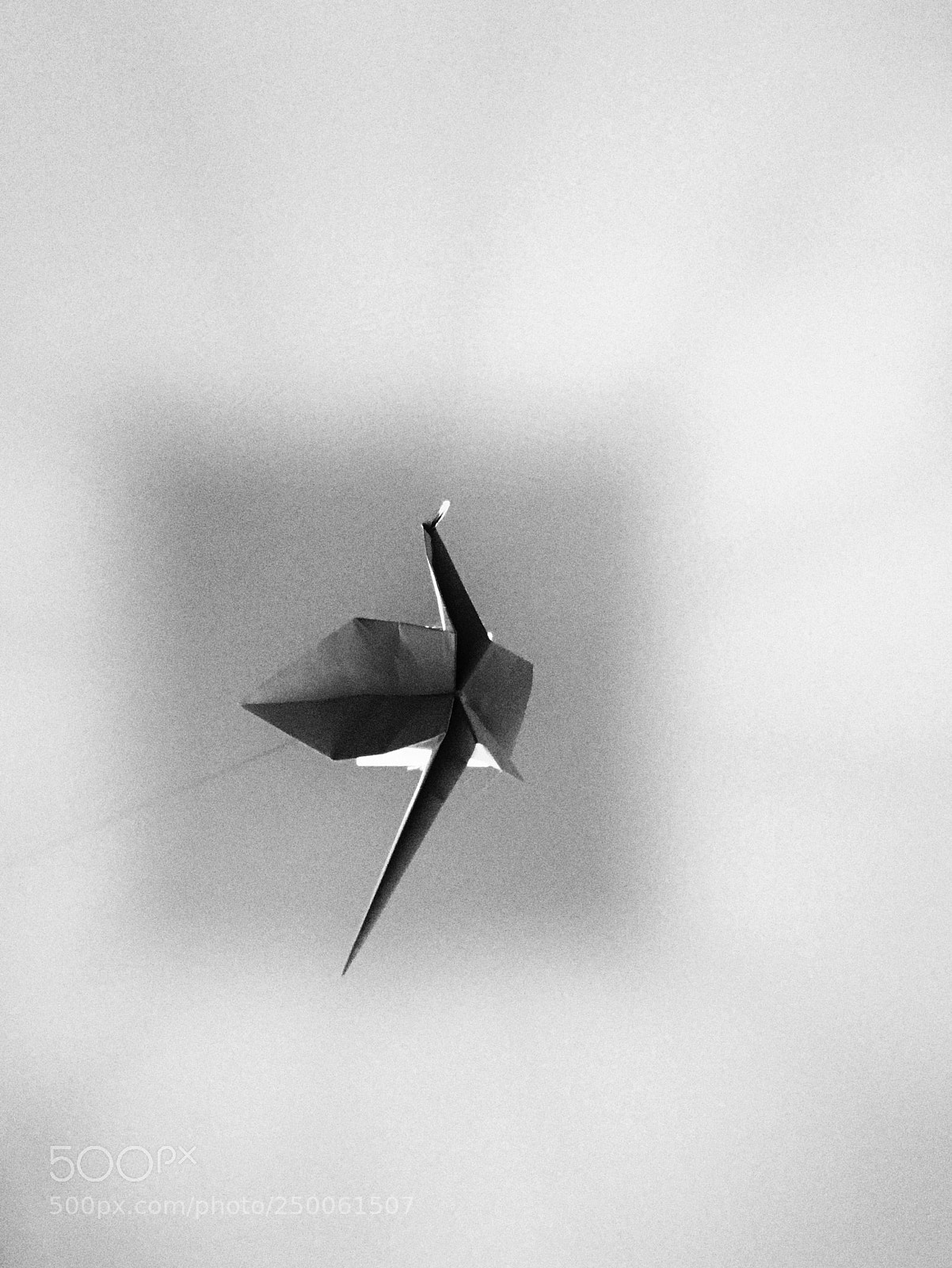 Apple iPhone 7 sample photo. Flying photography