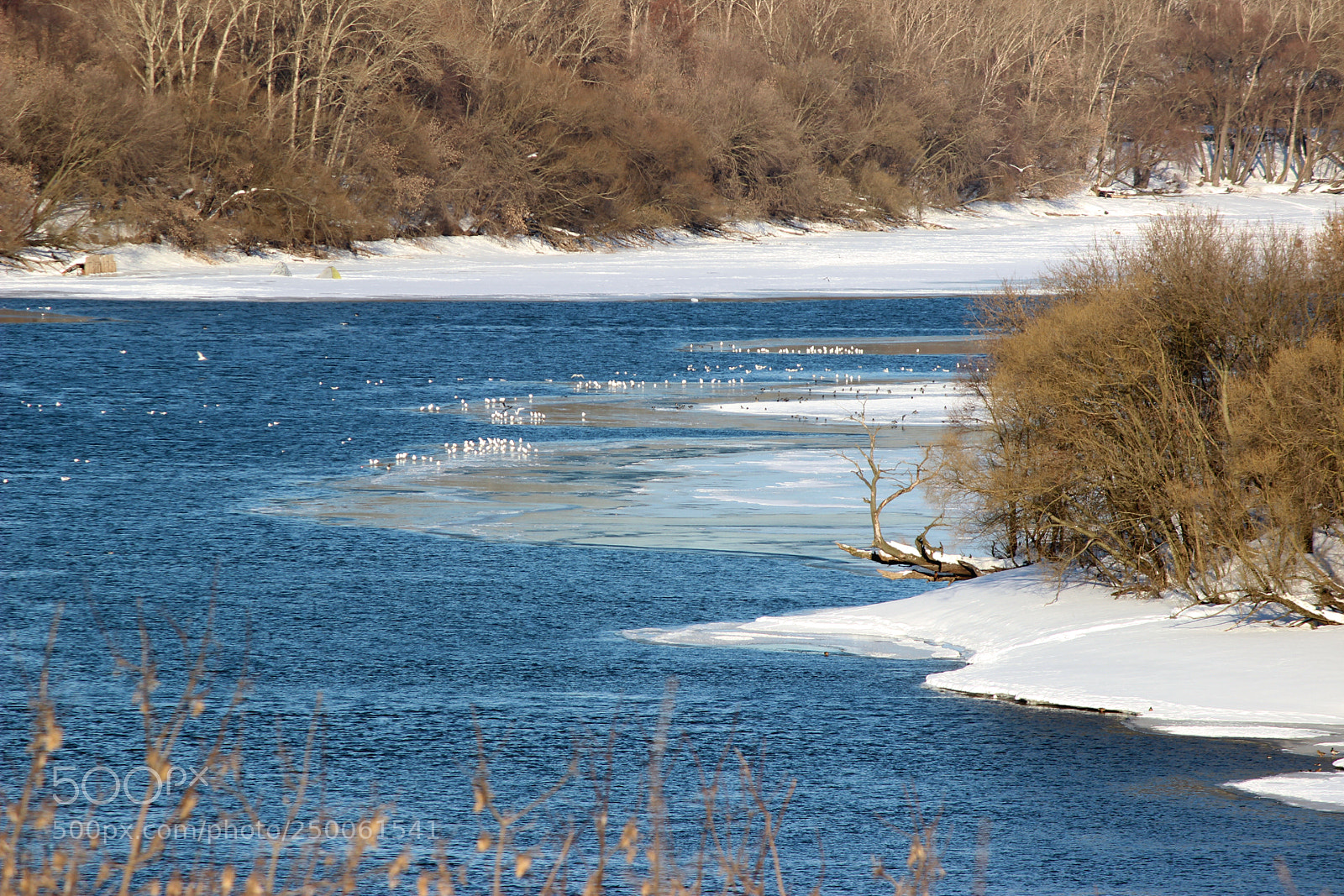 Canon EOS 600D (Rebel EOS T3i / EOS Kiss X5) sample photo. *** photography