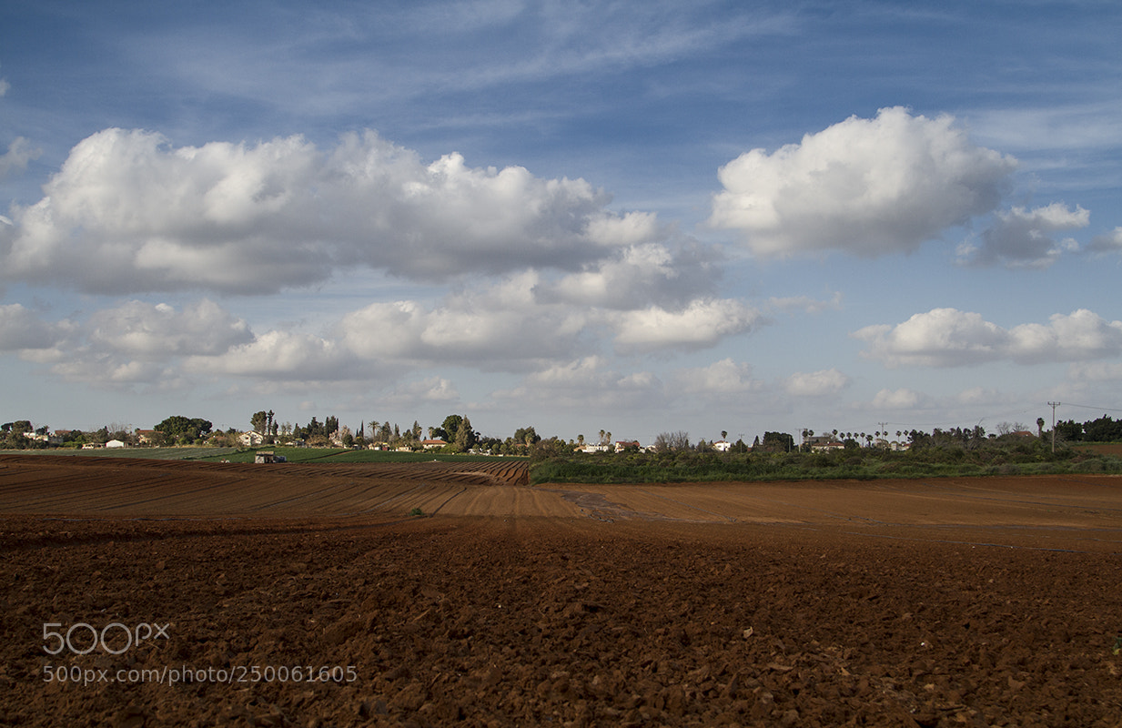 Canon EOS 7D sample photo. Untitled photography