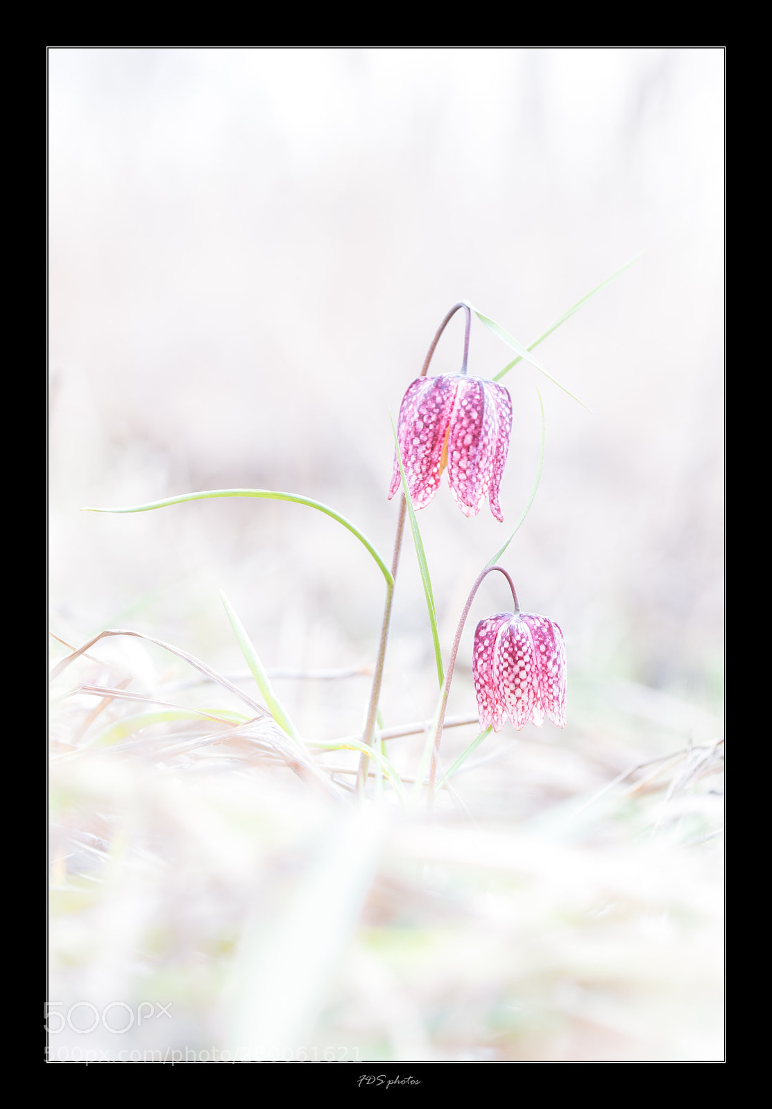 Canon EOS 7D Mark II sample photo. En couple photography