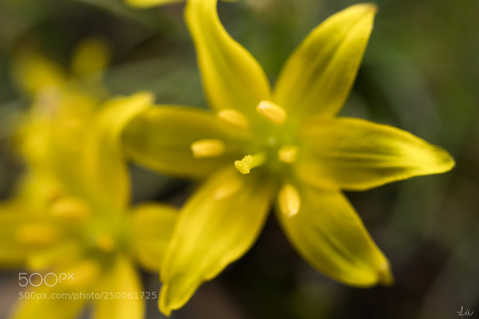 Canon EOS M5 sample photo. Pozohumos photography