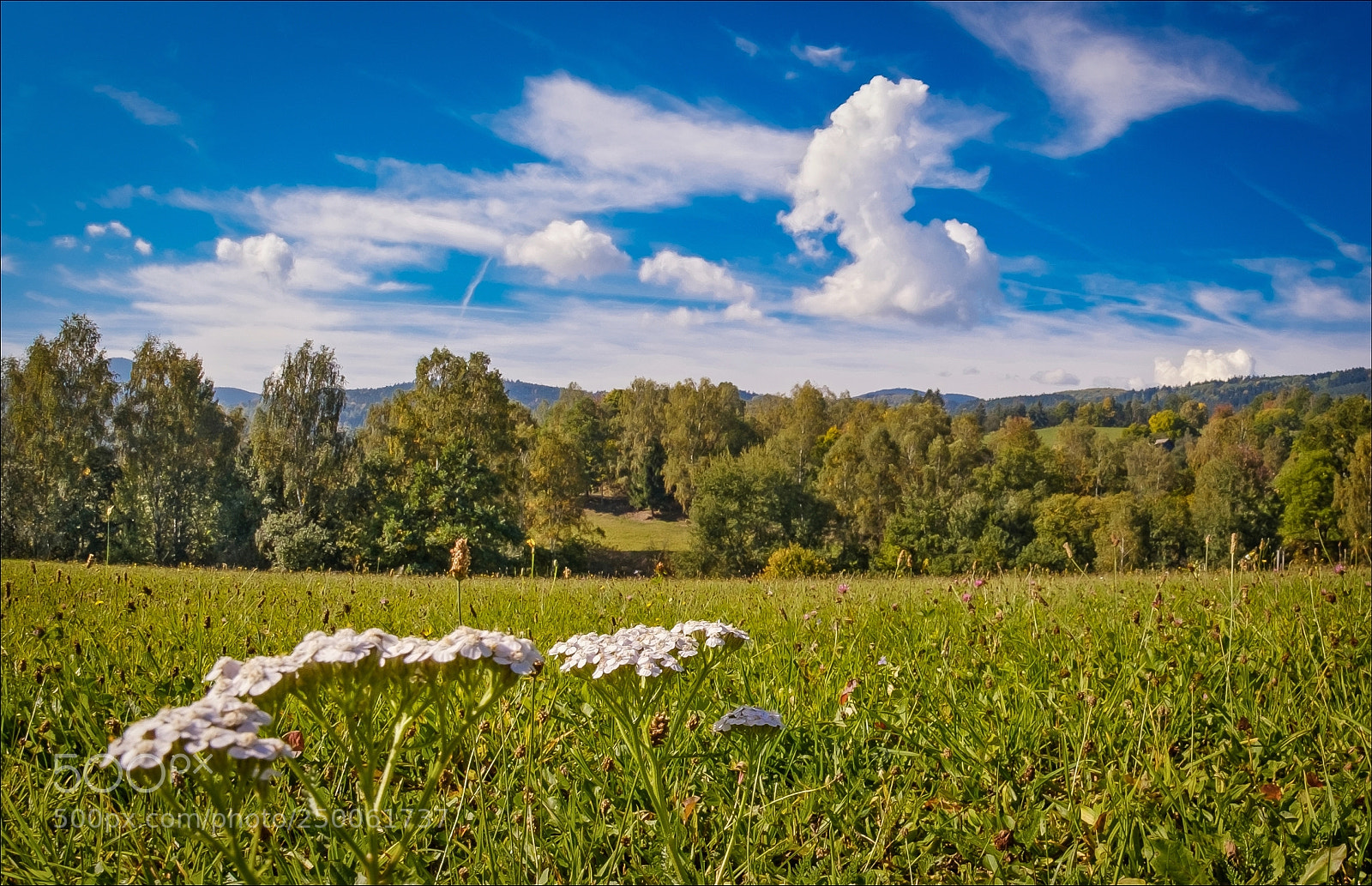 Fujifilm X-T2 sample photo. Summer foothills photography