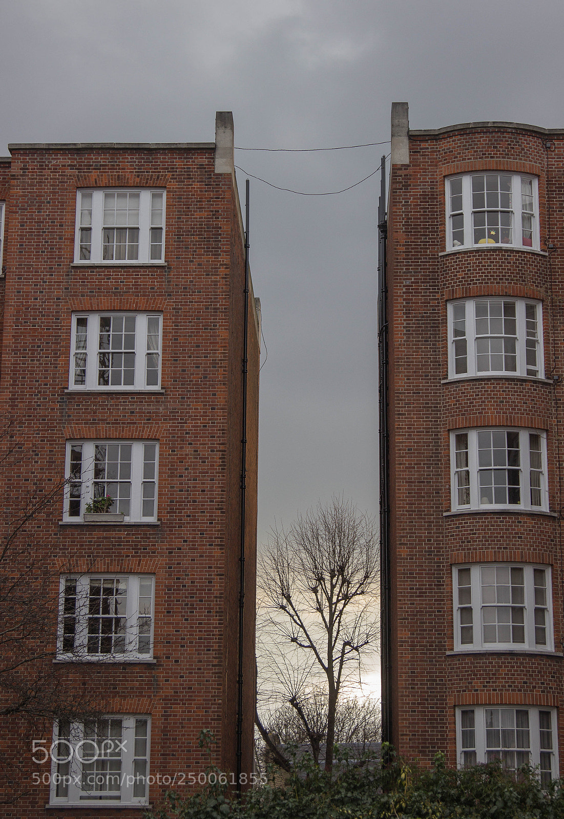 Canon EOS 600D (Rebel EOS T3i / EOS Kiss X5) sample photo. Behind the wall photography