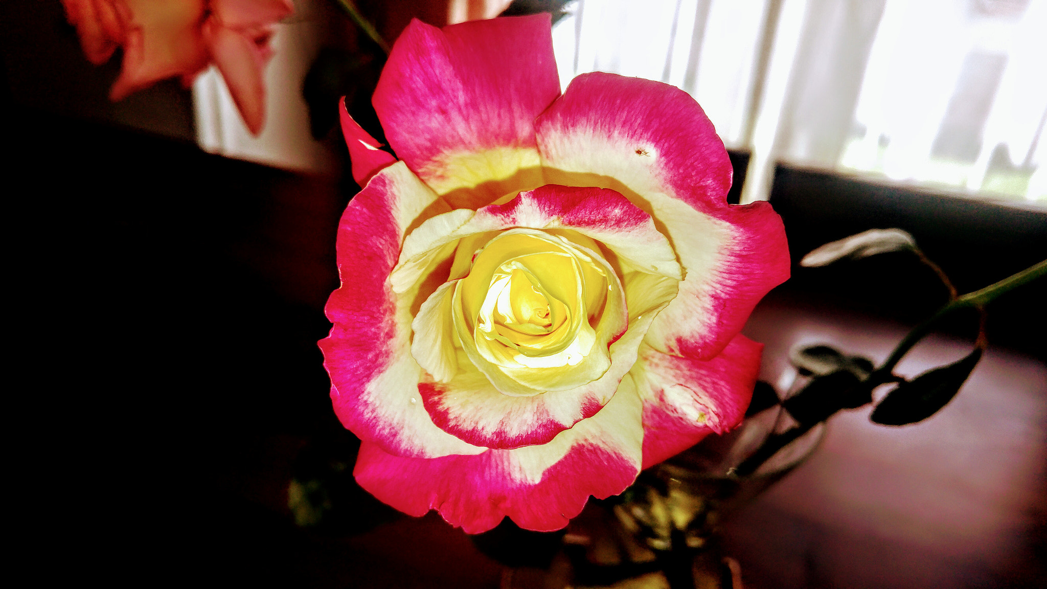LG H815P sample photo