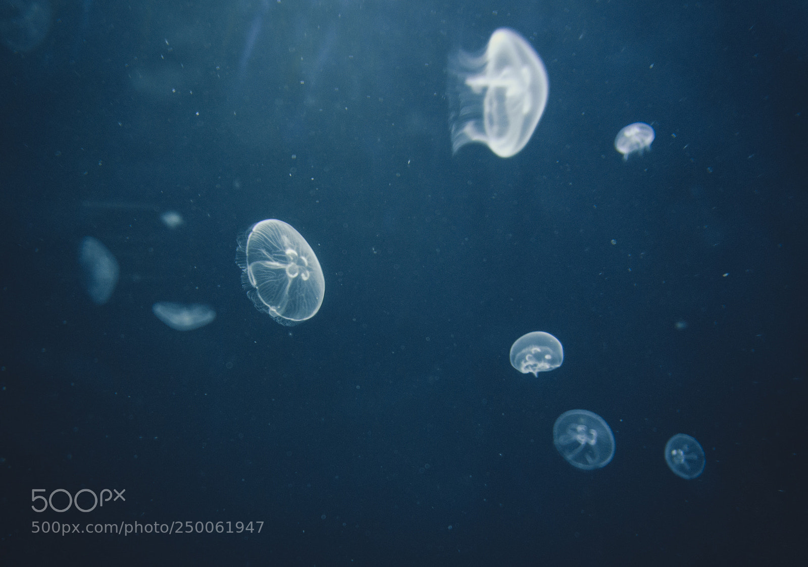 Nikon D7000 sample photo. In the deep blue photography