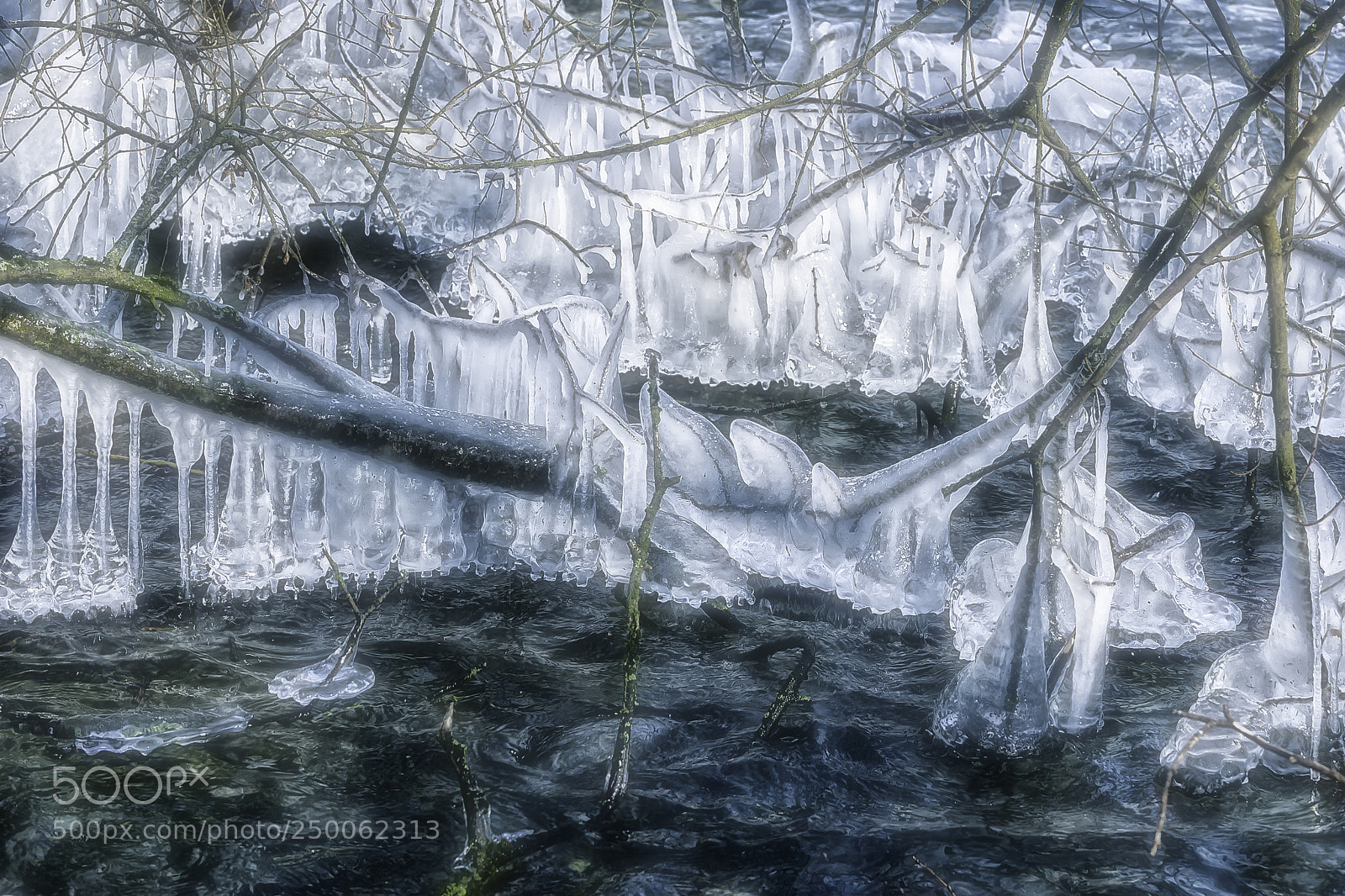 Nikon D700 sample photo. Icy winter photography