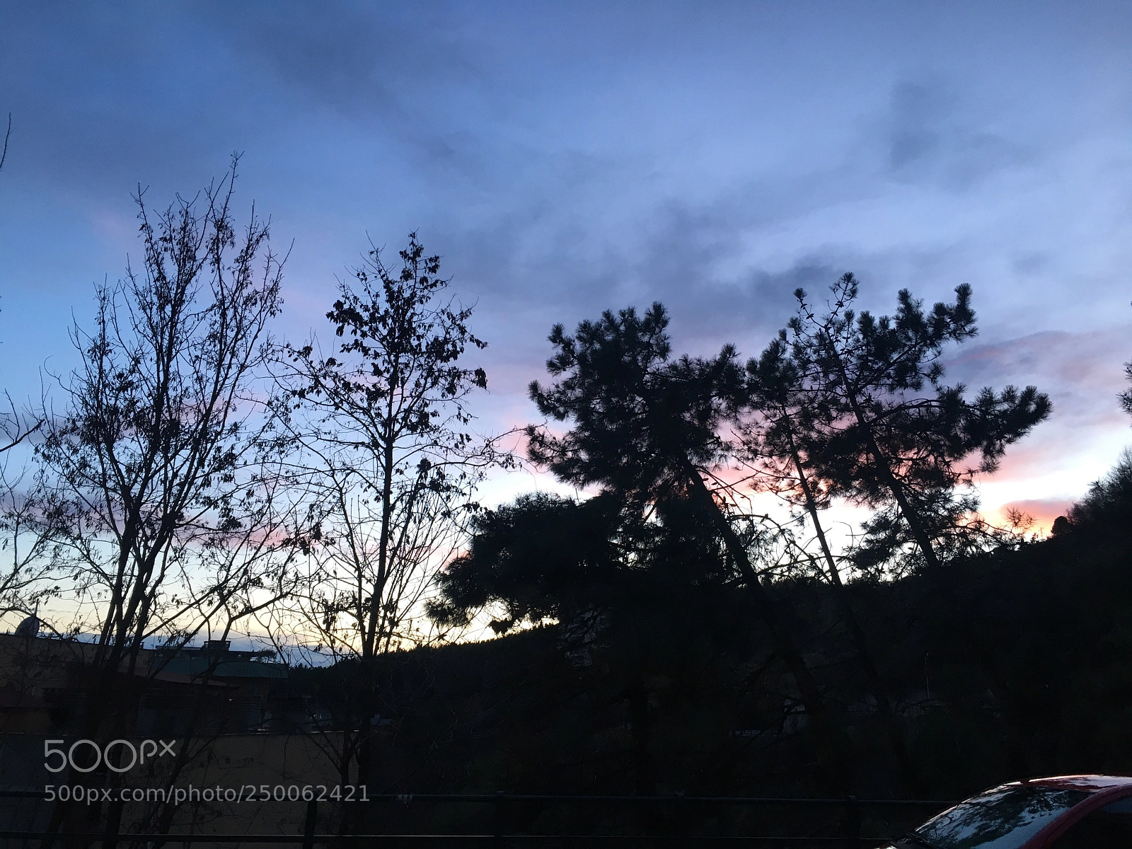 Apple iPhone 6s sample photo. Untitled photography