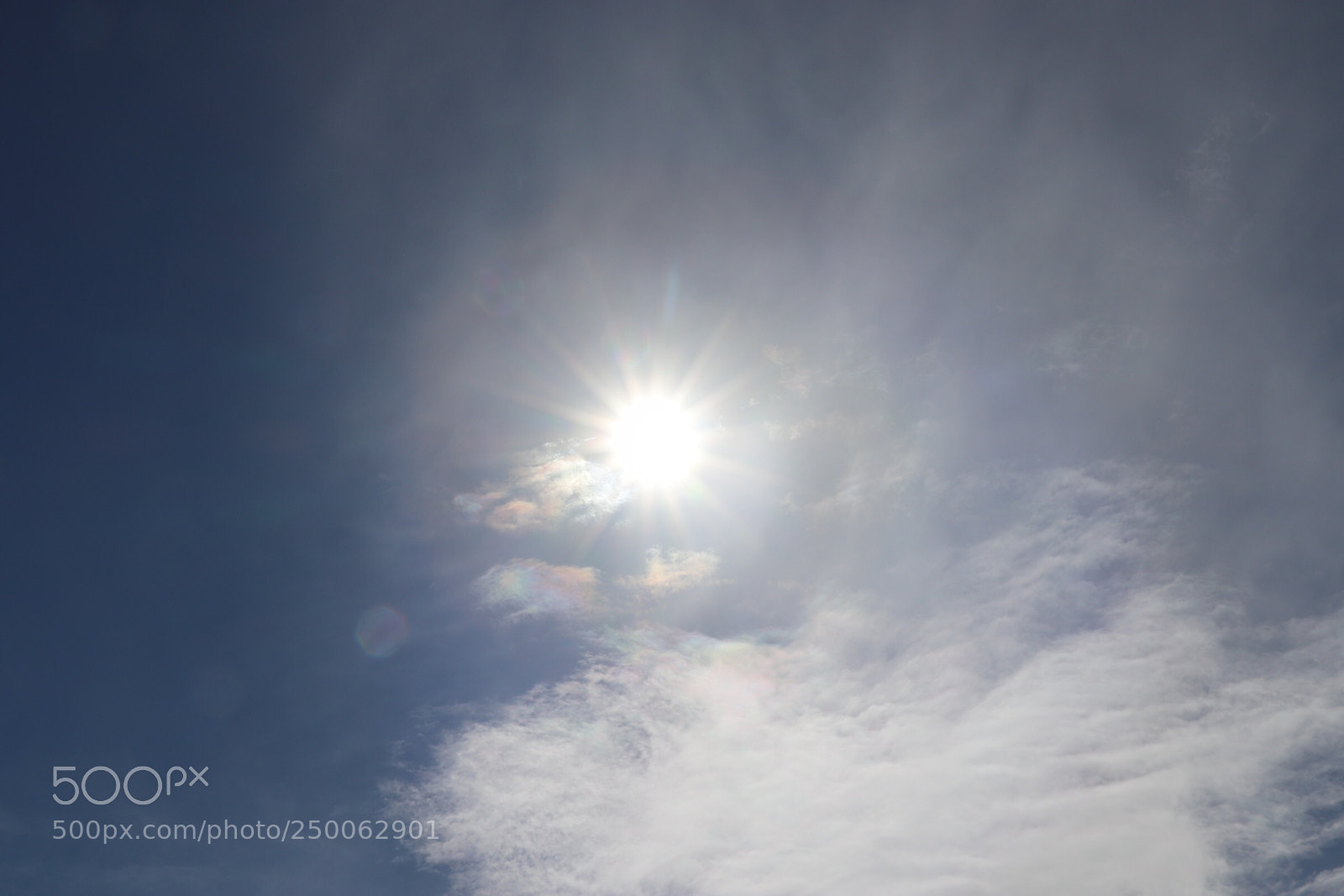 Canon EOS 800D (EOS Rebel T7i / EOS Kiss X9i) sample photo. Sunshine  photography