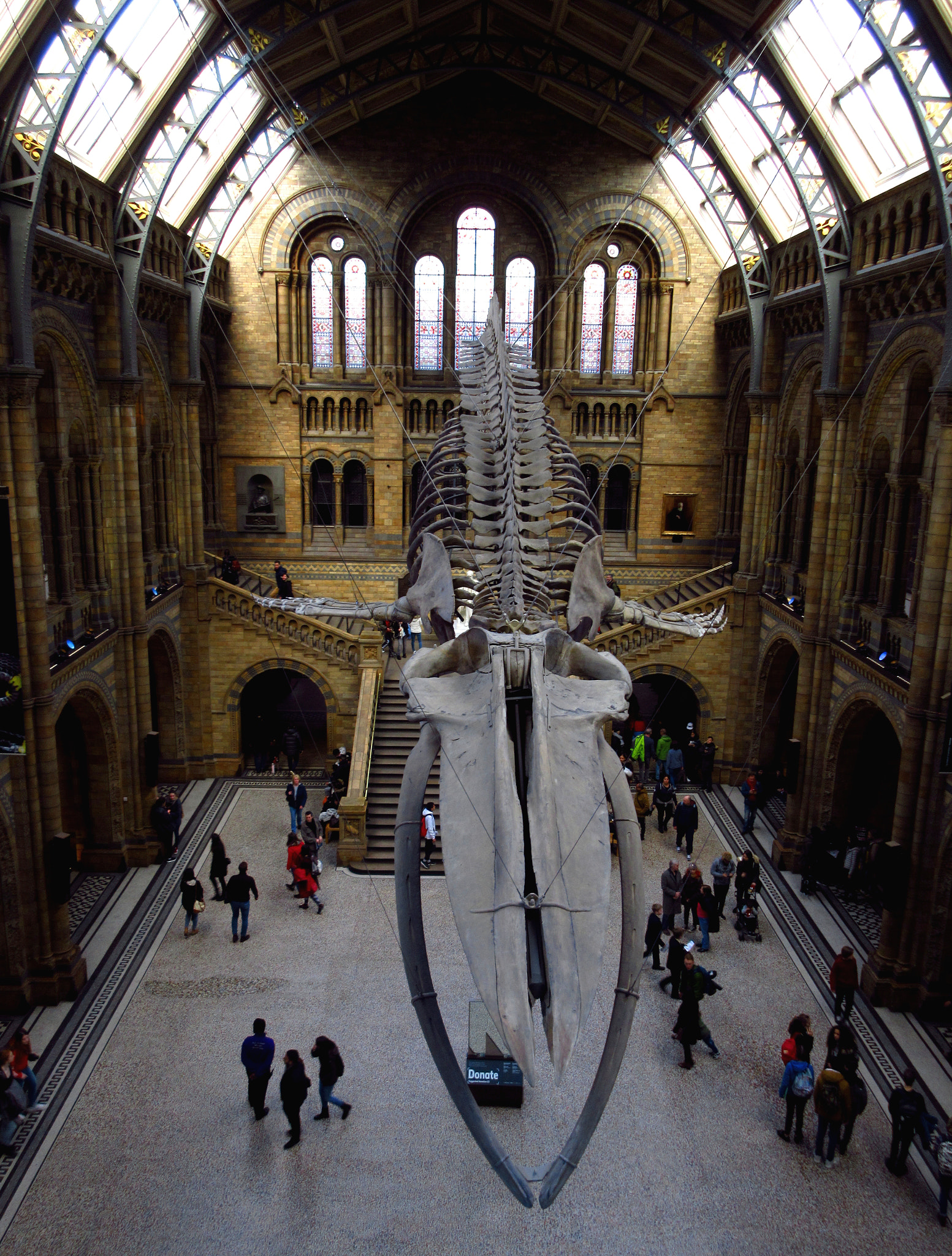 Canon PowerShot ELPH 350 HS (IXUS 275 HS / IXY 640) sample photo. Natural history museum, london photography