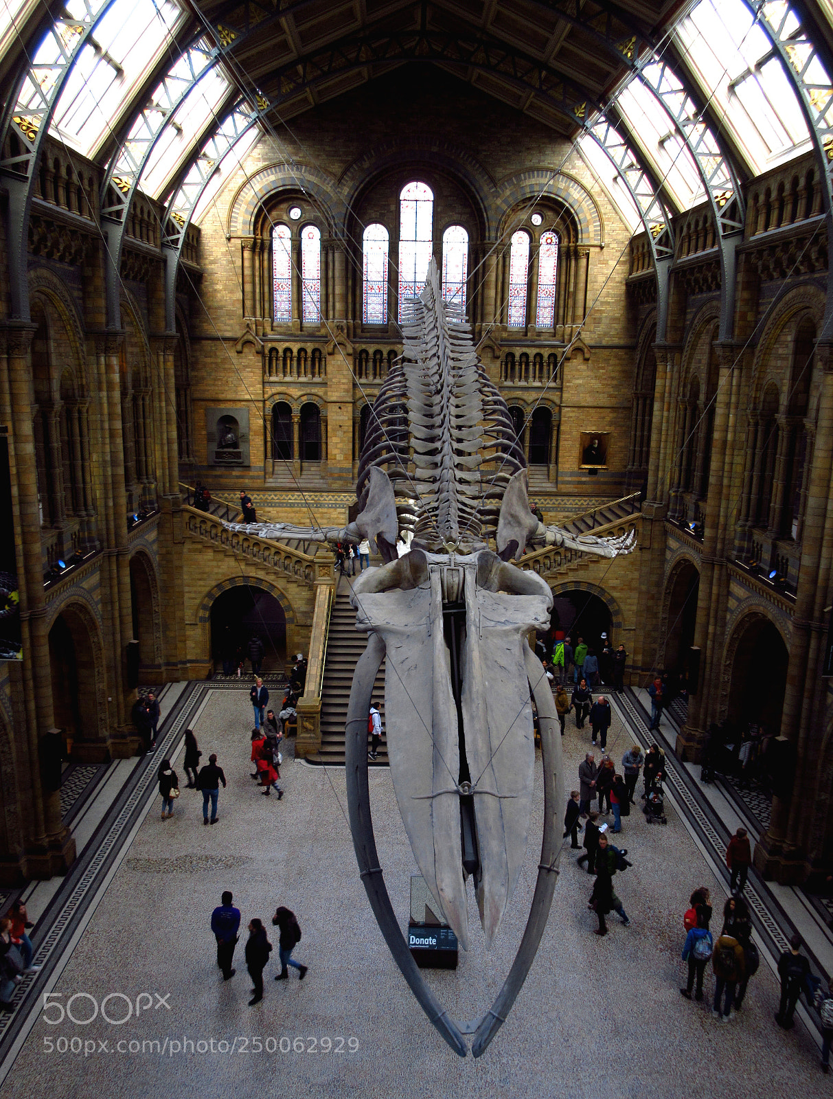 Canon PowerShot ELPH 350 HS (IXUS 275 HS / IXY 640) sample photo. Natural history museum, london photography
