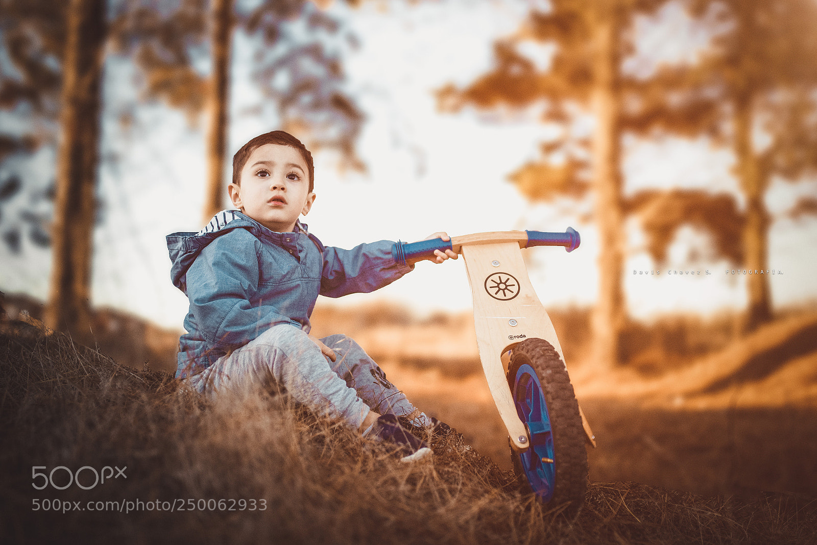 Nikon D610 sample photo. Renato photography