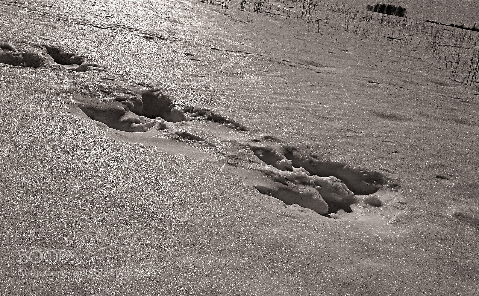 Samsung Galaxy J1 sample photo. Footsteps on snow photography
