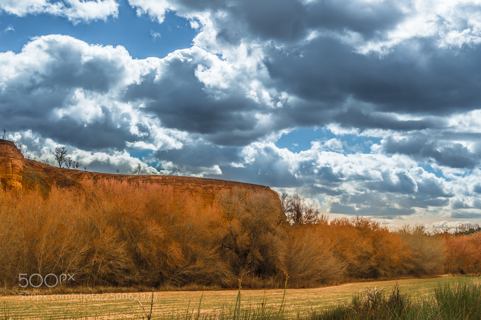 Nikon D3200 sample photo. Prelude to spring v2 photography